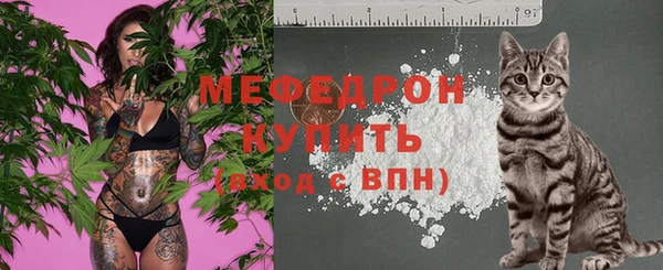 мдпв Пересвет