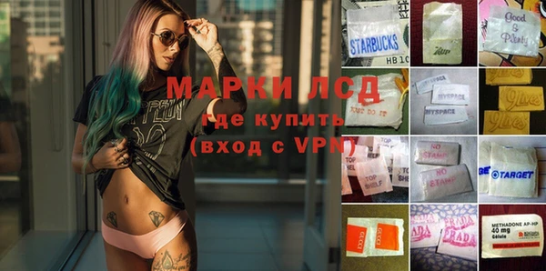 сатива Покровск