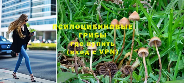 прущая мука Пестово