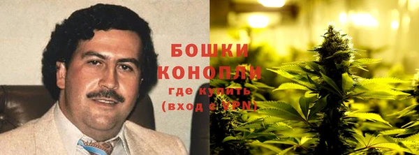 мдпв Пересвет