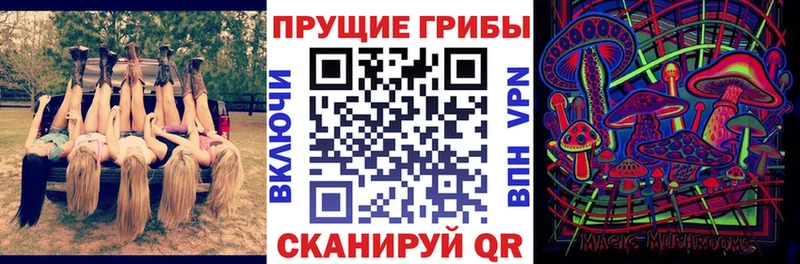 где найти наркотики  Абаза  Галлюциногенные грибы Psilocybe 